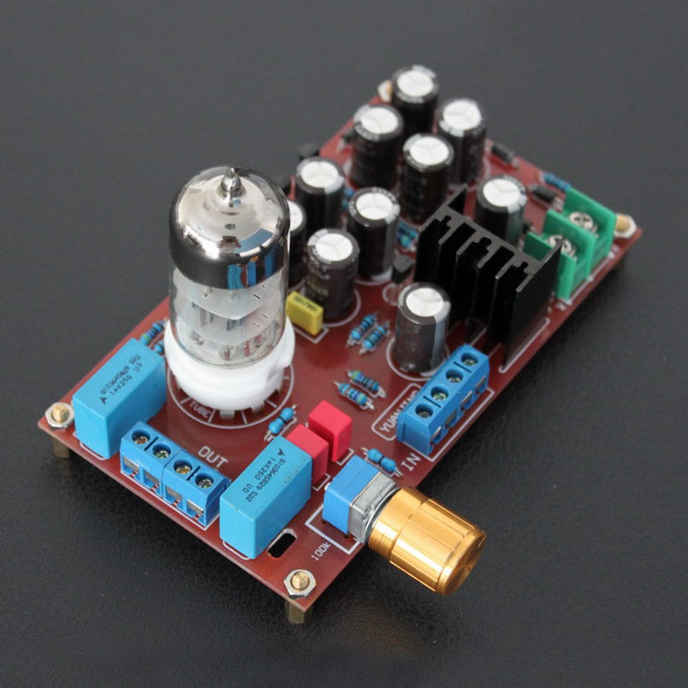 Preamplifier Stereo amp Board with 6N3 Tube
