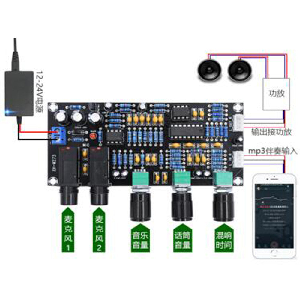 DC12-24V Karaoke Board Reverberation Board Microphone Power Amplifier Board