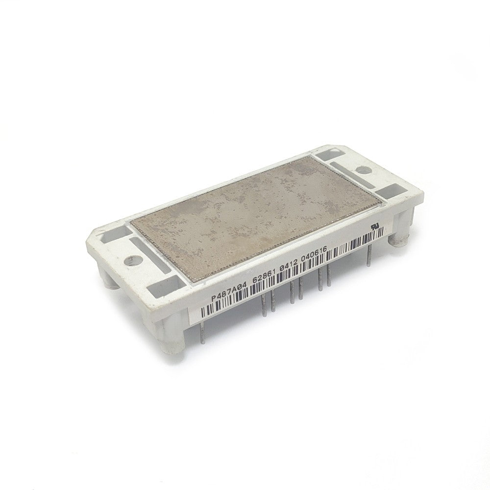P487A04 Package:MODULE, IC