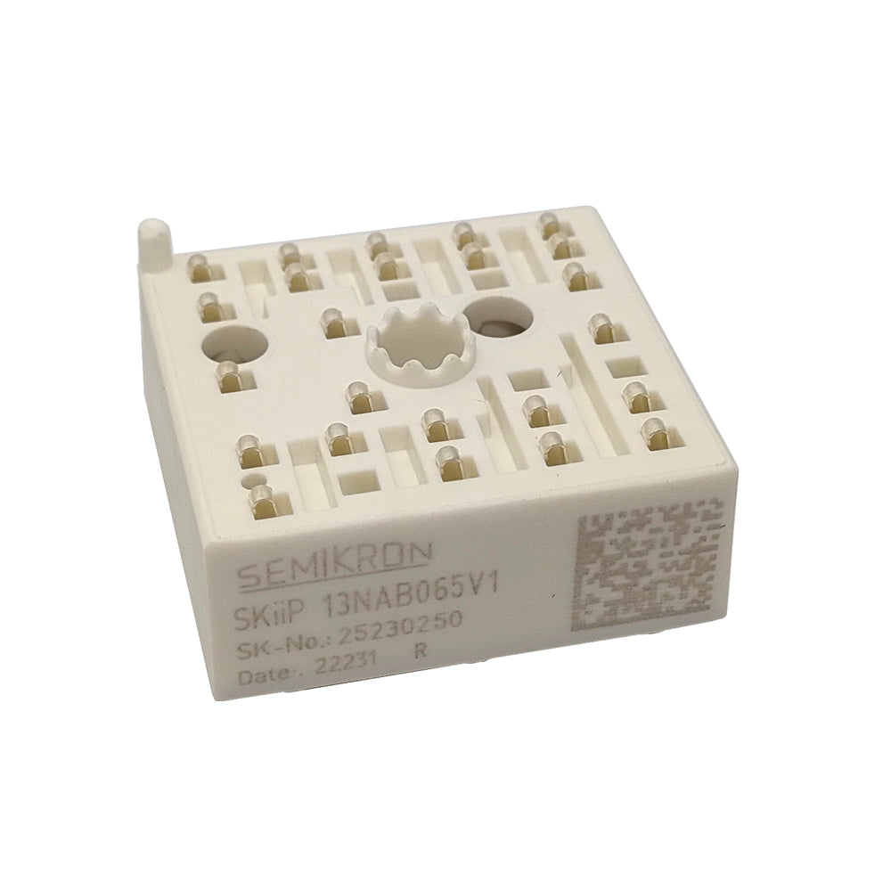 SKIIP13NAB065V1  Package: MODULE
