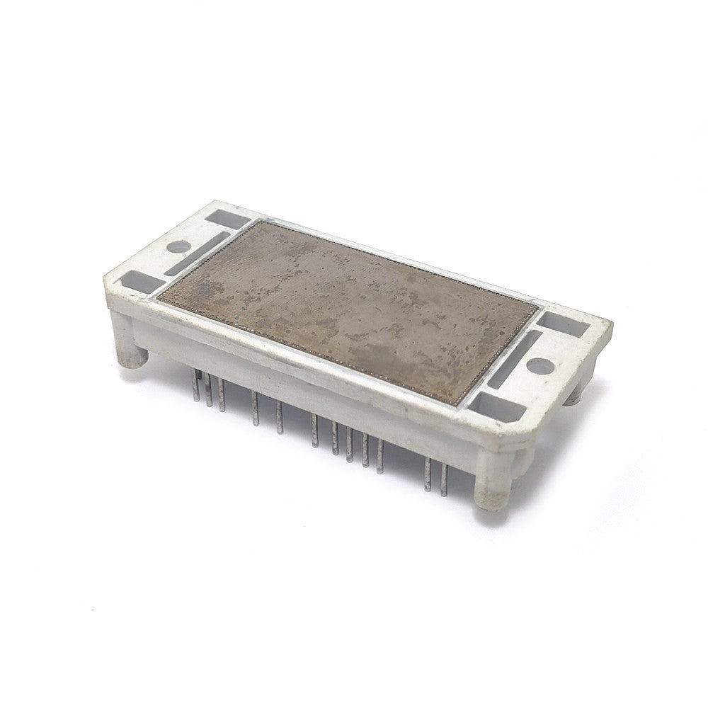 P487A04 Package:MODULE, IC